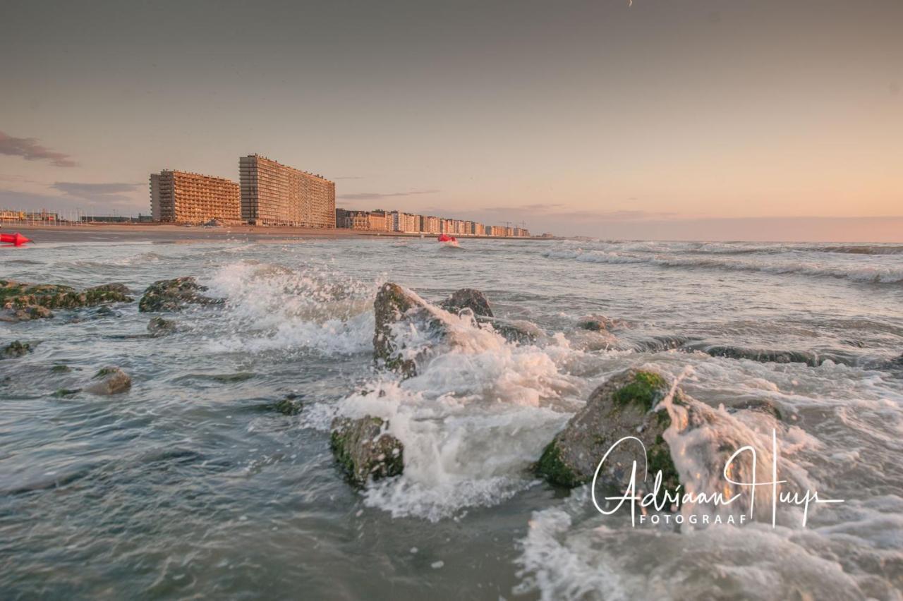Studio Met Groot Zonneterras Centrum Oostende 外观 照片